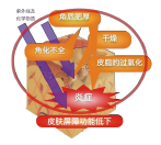 有機薏苡仁發(fā)酵液 (圖1)