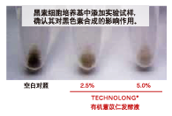 有機薏苡仁發(fā)酵液 (圖2)