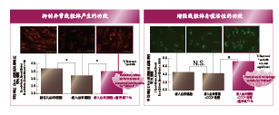 蓮浄美?(圖3)