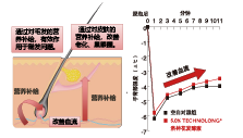 洛神花發(fā)酵液(圖2)