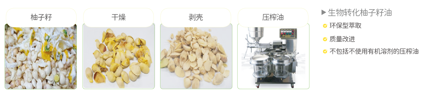 有機香橙籽油/香橙籽油脂質(zhì)體(圖1)