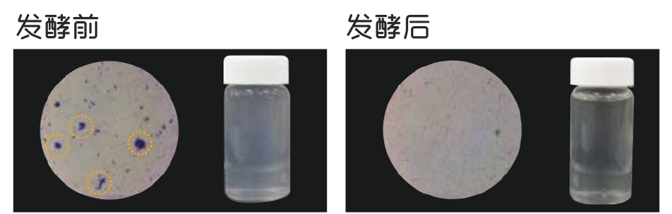 如風(fēng)米淘淘(圖1)